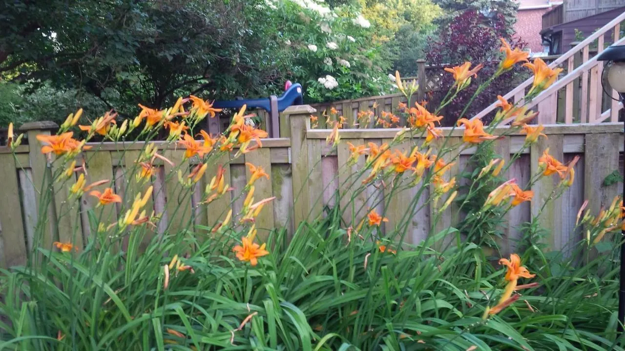 アパート トロントAn Independent Beach Retreat Steps From The Lake And Right In The Cityアパートメント