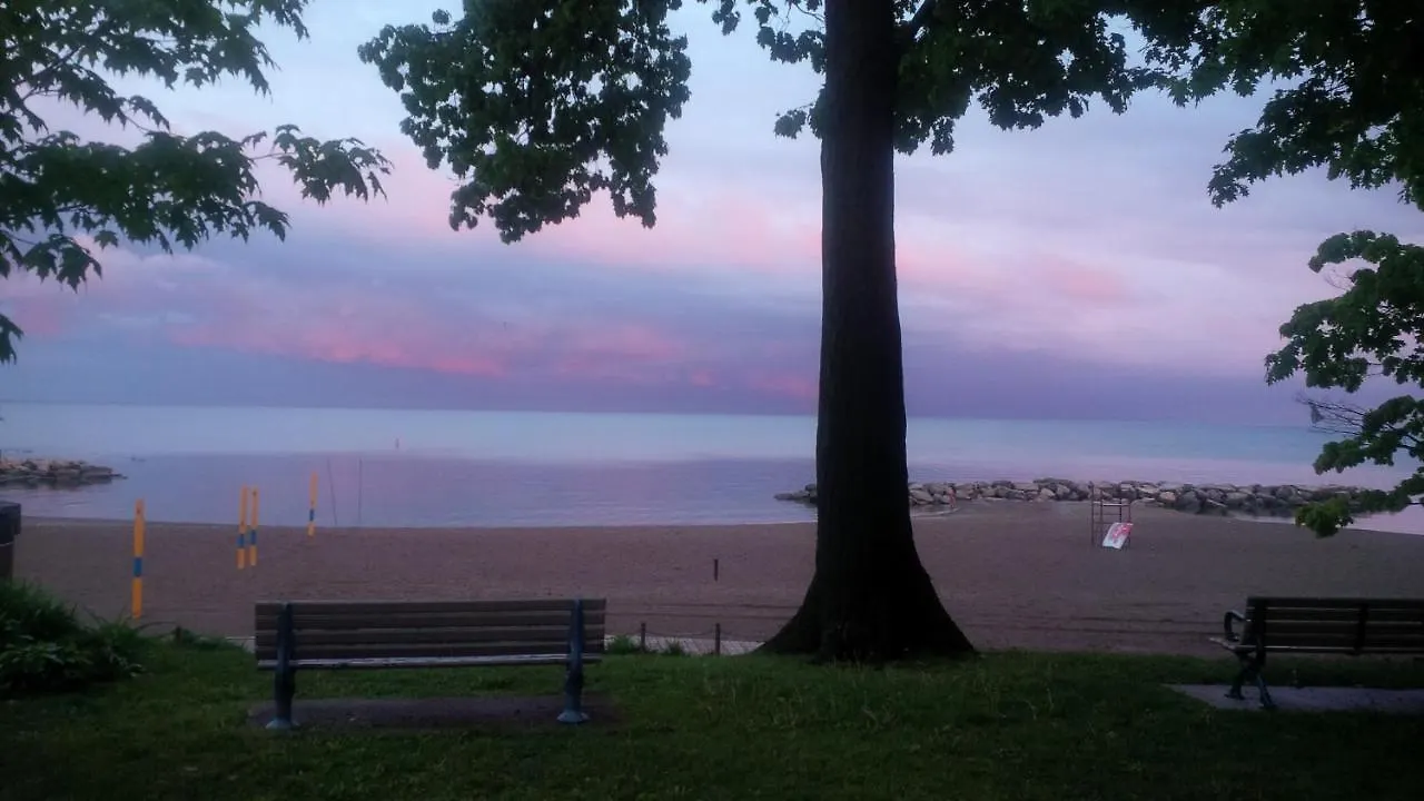 トロントAn Independent Beach Retreat Steps From The Lake And Right In The Cityアパートメント カナダ