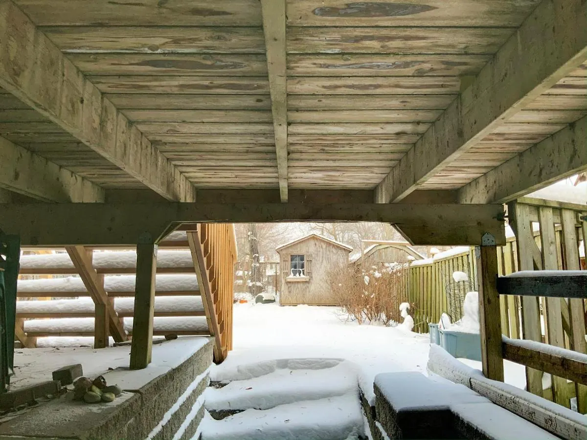 トロントAn Independent Beach Retreat Steps From The Lake And Right In The Cityアパートメント 0*, トロント